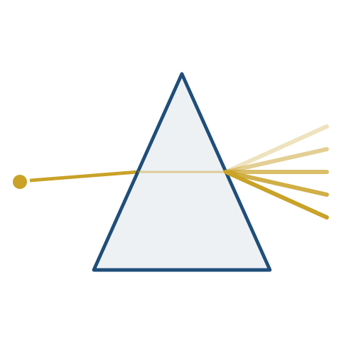 polymathy logo icon